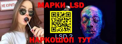 spice Ставрополь
