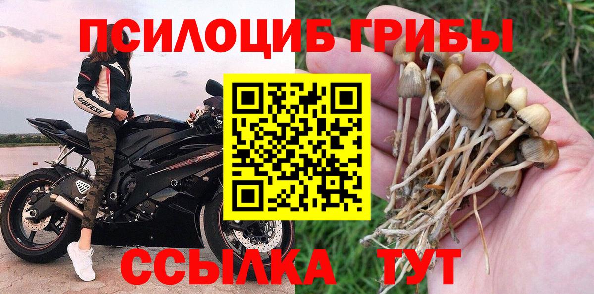 Малоярославец  Галлюциногенные грибы ЛСД  Вход с VPN  Галлюциногенные грибы Magic Shrooms 